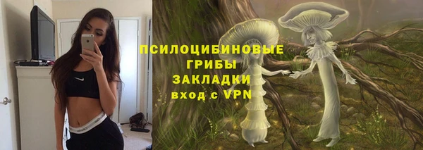 ГАЛЛЮЦИНОГЕННЫЕ ГРИБЫ Заволжск