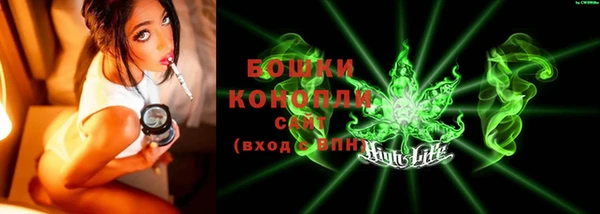 стафф Заводоуковск