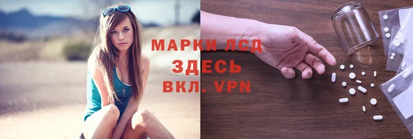 стафф Заводоуковск
