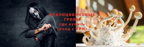 ГАЛЛЮЦИНОГЕННЫЕ ГРИБЫ Заволжск