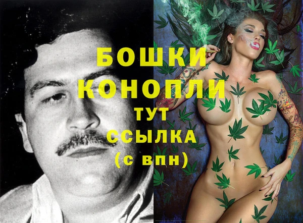 ГАЛЛЮЦИНОГЕННЫЕ ГРИБЫ Заволжск