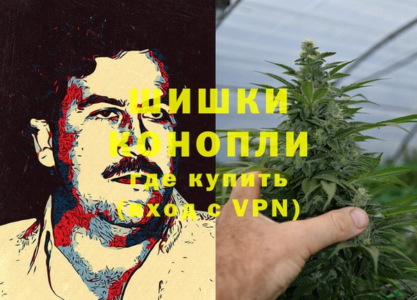 ГАЛЛЮЦИНОГЕННЫЕ ГРИБЫ Заволжск