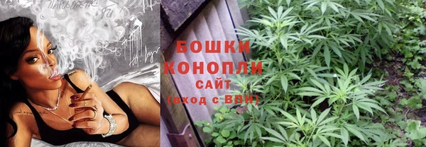 стафф Заводоуковск