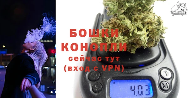 ГАЛЛЮЦИНОГЕННЫЕ ГРИБЫ Заволжск