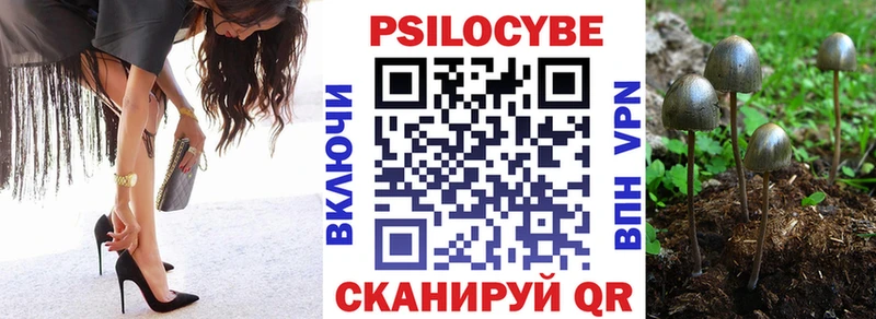 Купить закладки  Железноводск  Псилоцибиновые грибы Psilocybe 